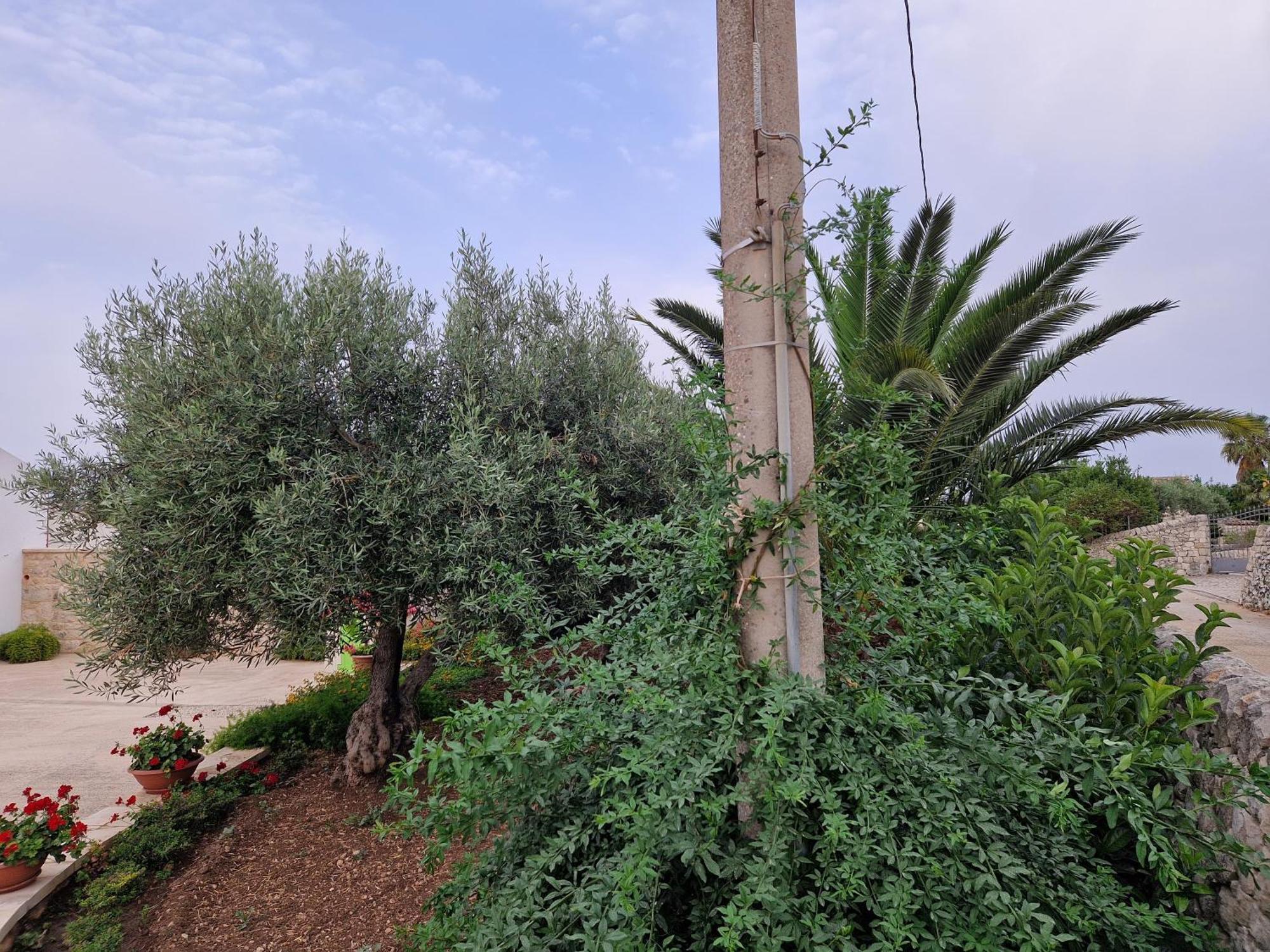 Casa vacanza i due ulivi Modica Esterno foto